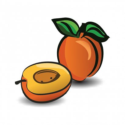 Apricot (MB)