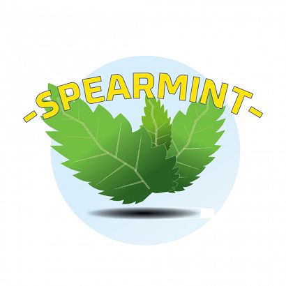 Spearmint (MB)