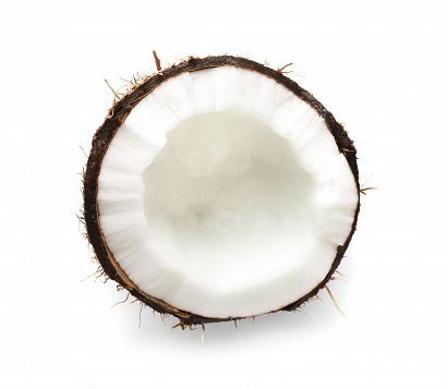 Hard Coconut
