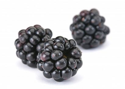 Dark blackberry
