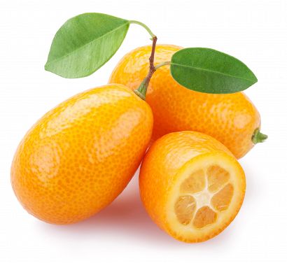 Kumkwat / Kumquat
