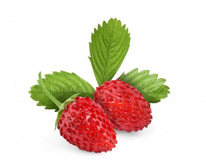 Wild Strawberry (concentrate)